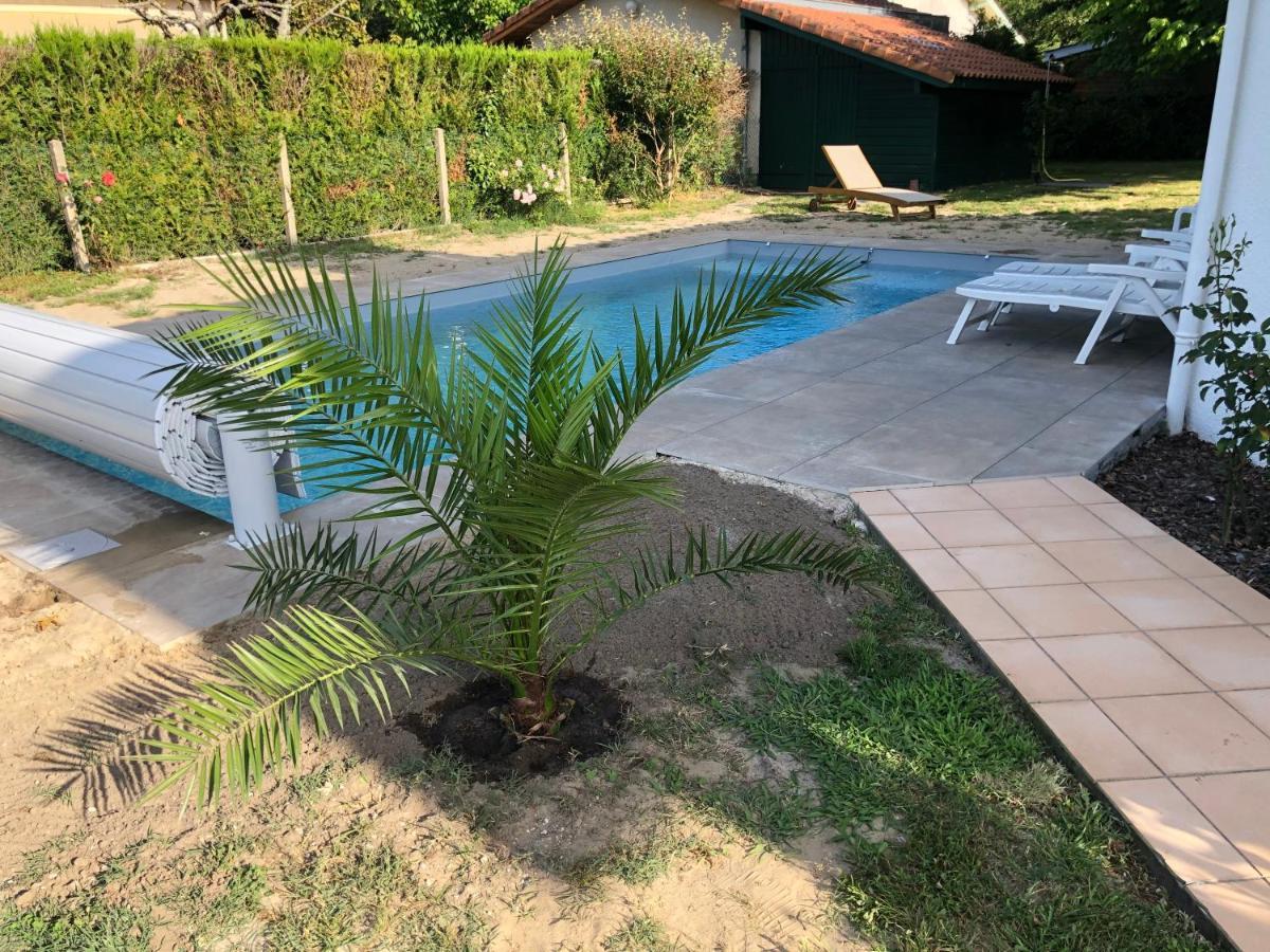 Maison Landaise Moderne Piscine Chauffee Spa Lit-et-Mixe Exteriör bild